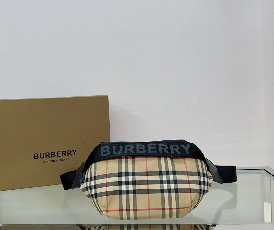 Burberry Waist Chest Packs